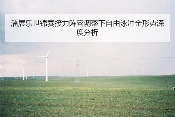 潘展乐世锦赛接力阵容调整下自由泳冲金形势深度分析