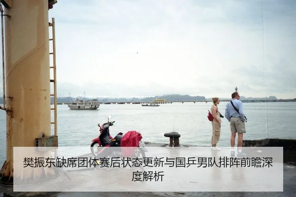 樊振东缺席团体赛后状态更新与国乒男队排阵前瞻深度解析